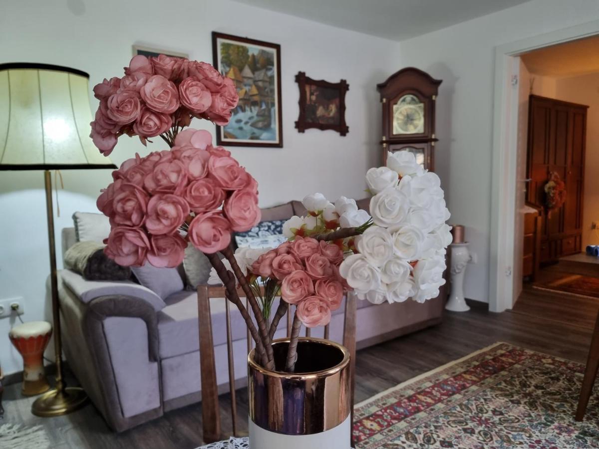 Apartment Blaoss Karlovac Buitenkant foto